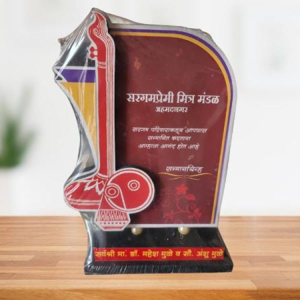 Dr Anshu Mulay Achievement Award (2)