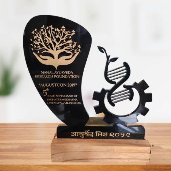 Dr Anshu Mulay Achievement Award (3)