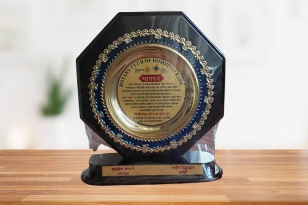 Dr Anshu Mulay Achievement Award (4)