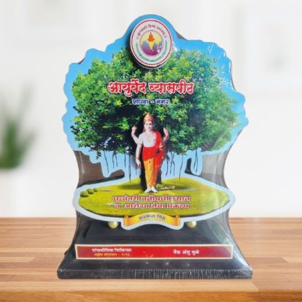 Dr Anshu Mulay Achievement Award (6)