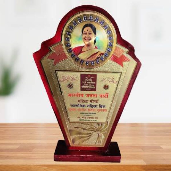 Dr Anshu Mulay Achievement Award